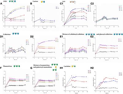 Identification of Glycoside Transporters From the Human Gut Microbiome